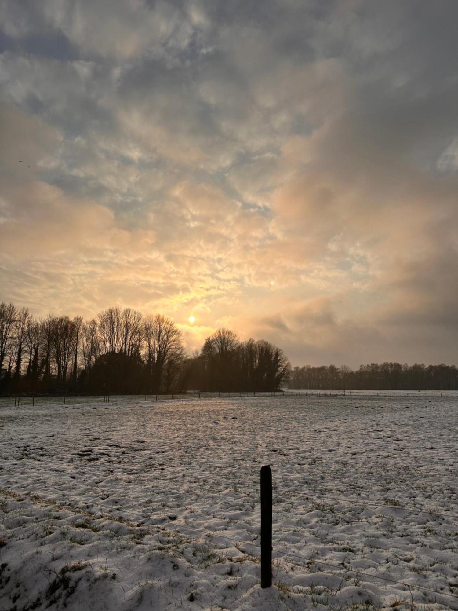 Herberg Sellingen Luaran gambar